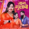 About Jaan Gulabo Song